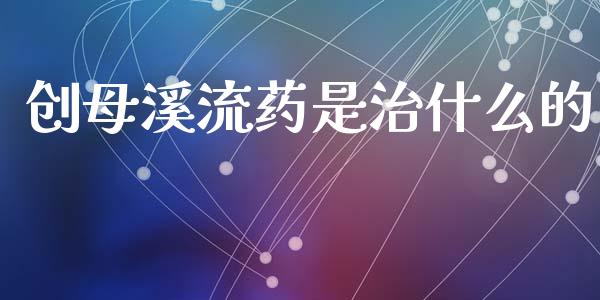 创母溪流药是治什么的_https://wap.gongyisiwang.com_金融科技_第1张