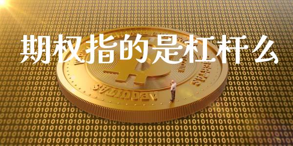 期权指的是杠杆么_https://wap.gongyisiwang.com_股市新闻_第1张