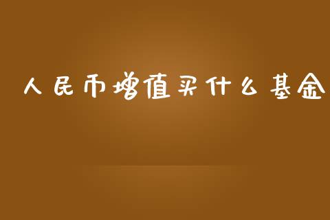 人民币增值买什么基金_https://wap.gongyisiwang.com_美原油直播_第1张