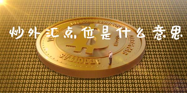 炒外汇点位是什么意思_https://wap.gongyisiwang.com_金融科技_第1张