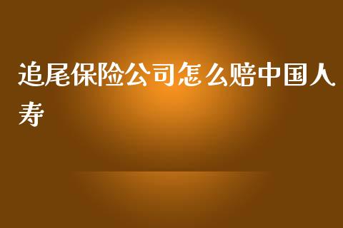 追尾保险公司怎么赔中国人寿_https://wap.gongyisiwang.com_保险理财_第1张