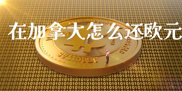 在加拿大怎么还欧元_https://wap.gongyisiwang.com_保险理财_第1张