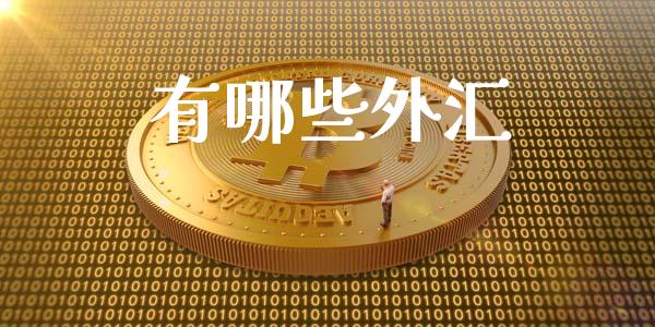 有哪些外汇_https://wap.gongyisiwang.com_概念板块_第1张