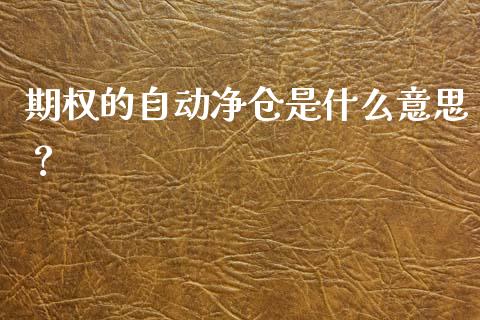 期权的自动净仓是什么意思？_https://wap.gongyisiwang.com_保险理财_第1张