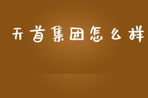 天首集团怎么样_https://wap.gongyisiwang.com_大盘分析_第1张