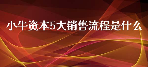 小牛资本5大销售流程是什么_https://wap.gongyisiwang.com_金融科技_第1张