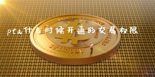 pta什么时候开通的交易权限_https://wap.gongyisiwang.com_个股行情_第1张