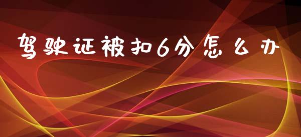 驾驶证被扣6分怎么办_https://wap.gongyisiwang.com_个股行情_第1张