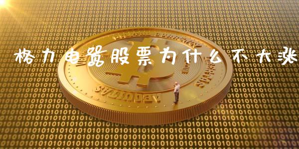 格力电嚣股票为什么不大涨_https://wap.gongyisiwang.com_保险理财_第1张