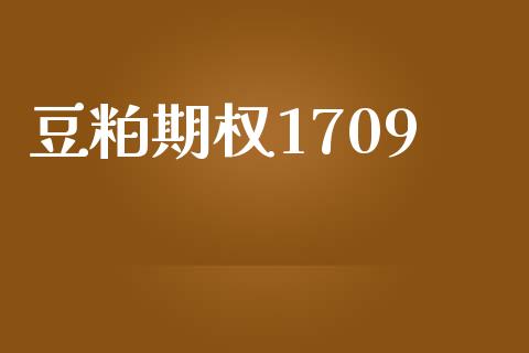 豆粕期权1709_https://wap.gongyisiwang.com_大盘分析_第1张