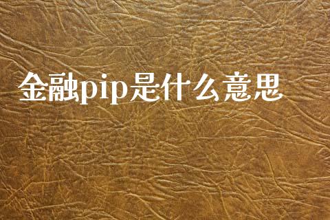 金融pip是什么意思_https://wap.gongyisiwang.com_理财规划_第1张