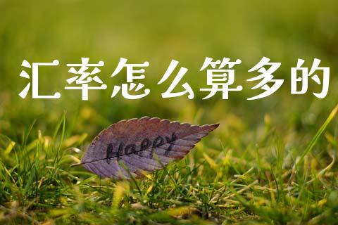 汇率怎么算多的_https://wap.gongyisiwang.com_大盘分析_第1张