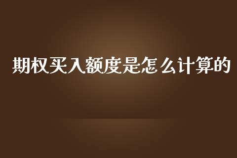 期权买入额度是怎么计算的_https://wap.gongyisiwang.com_大盘分析_第1张