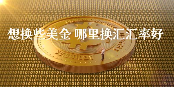 想换些美金 哪里换汇汇率好_https://wap.gongyisiwang.com_理财规划_第1张