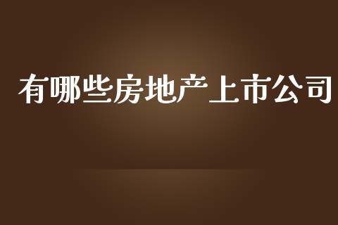 有哪些房地产上市公司_https://wap.gongyisiwang.com_保险理财_第1张