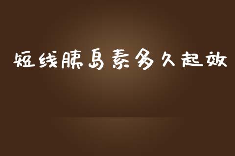 短线胰岛素多久起效_https://wap.gongyisiwang.com_股市新闻_第1张