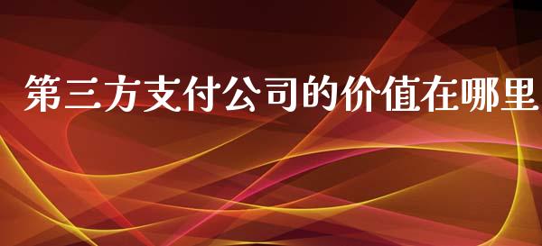第三方支付公司的价值在哪里_https://wap.gongyisiwang.com_理财规划_第1张