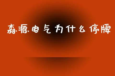 森源电气为什么停牌_https://wap.gongyisiwang.com_大盘分析_第1张