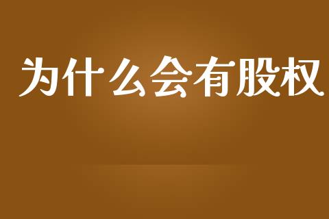 为什么会有股权_https://wap.gongyisiwang.com_理财规划_第1张