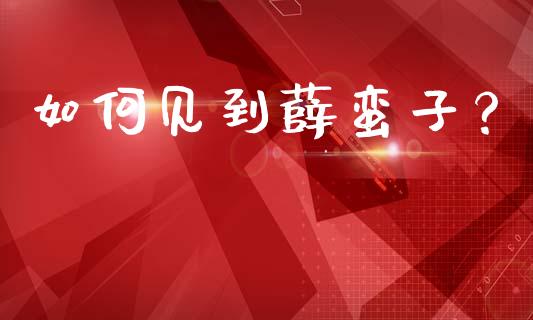 如何见到薛蛮子？_https://wap.gongyisiwang.com_股市新闻_第1张