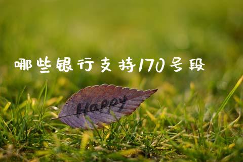 哪些银行支持170号段_https://wap.gongyisiwang.com_概念板块_第1张