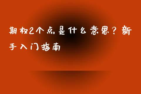 期权2个点是什么意思？新手入门指南_https://wap.gongyisiwang.com_理财规划_第1张