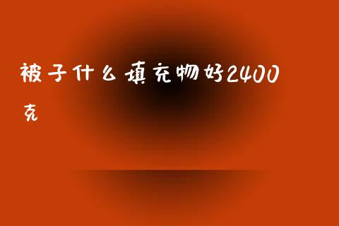 被子什么填充物好2400克_https://wap.gongyisiwang.com_保险理财_第1张