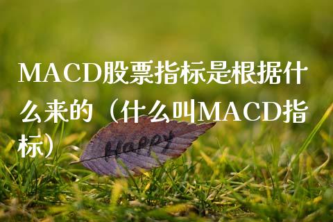 MACD股票指标是根据什么来的（什么叫MACD指标）_https://wap.gongyisiwang.com_个股行情_第1张