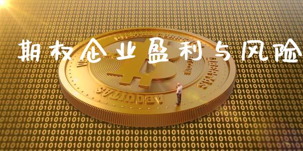 期权企业盈利与风险_https://wap.gongyisiwang.com_金融科技_第1张