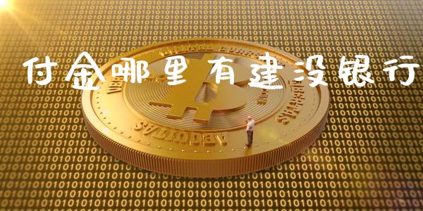 付金哪里有建没银行_https://wap.gongyisiwang.com_个股行情_第1张