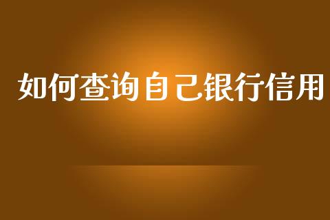 如何查询自己银行信用_https://wap.gongyisiwang.com_理财规划_第1张