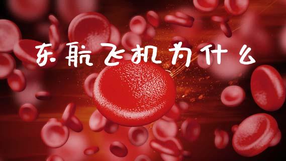 东航飞机为什么_https://wap.gongyisiwang.com_大盘分析_第1张