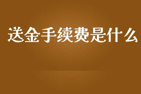 送金手续费是什么_https://wap.gongyisiwang.com_个股行情_第1张