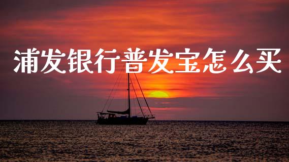 浦发银行普发宝怎么买_https://wap.gongyisiwang.com_金融科技_第1张