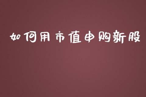 如何用市值申购新股_https://wap.gongyisiwang.com_概念板块_第1张