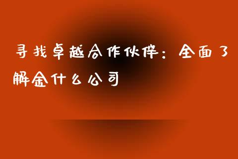 寻找卓越合作伙伴：全面了解金什么公司_https://wap.gongyisiwang.com_个股行情_第1张