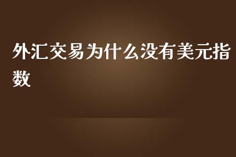 外汇交易为什么没有美元指数_https://wap.gongyisiwang.com_理财规划_第1张