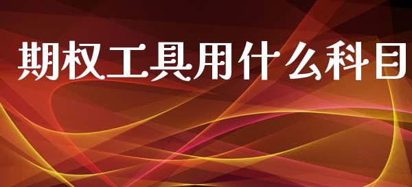 期权工具用什么科目_https://wap.gongyisiwang.com_理财规划_第1张