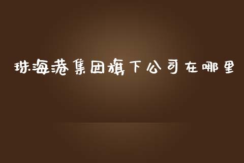 珠海港集团旗下公司在哪里_https://wap.gongyisiwang.com_个股行情_第1张