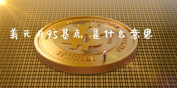 美元升95基点 是什么意思_https://wap.gongyisiwang.com_金融科技_第1张