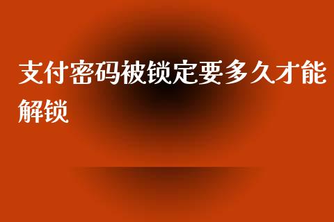 支付密码被锁定要多久才能解锁_https://wap.gongyisiwang.com_理财规划_第1张