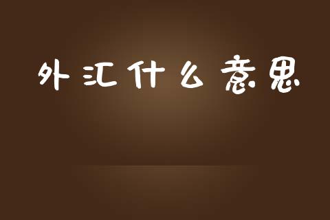 外汇什么意思_https://wap.gongyisiwang.com_金融科技_第1张