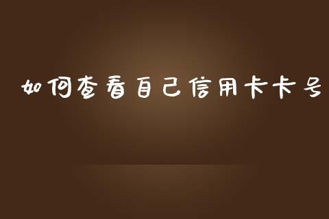 如何查看自己信用卡卡号_https://wap.gongyisiwang.com_美原油直播_第1张