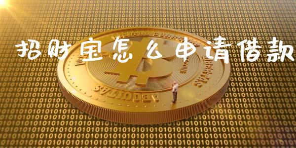 招财宝怎么申请借款_https://wap.gongyisiwang.com_概念板块_第1张