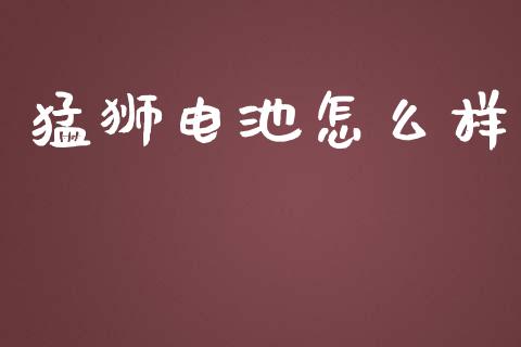 猛狮电池怎么样_https://wap.gongyisiwang.com_理财规划_第1张