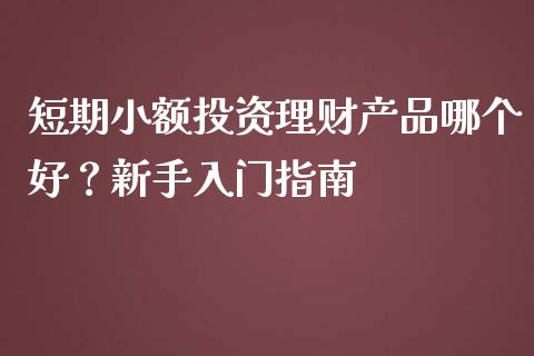 短期小额投资理财产品哪个好？新手入门指南_https://wap.gongyisiwang.com_美原油直播_第1张