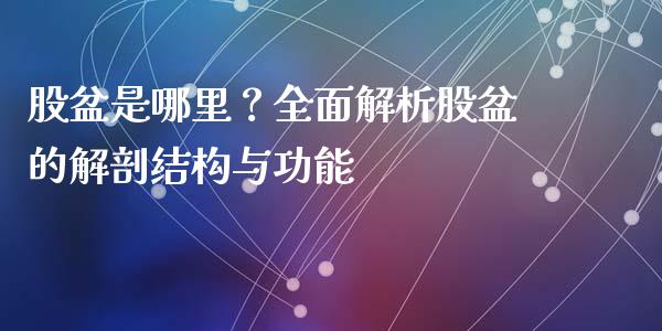 股盆是哪里？全面解析股盆的解剖结构与功能_https://wap.gongyisiwang.com_理财规划_第1张