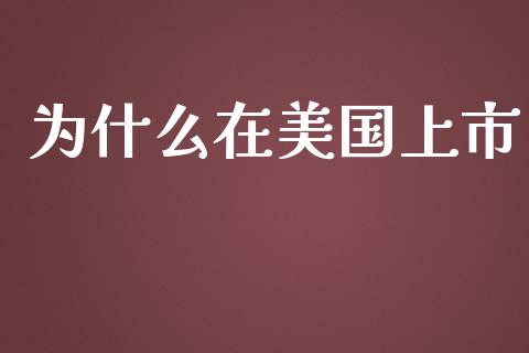 为什么在美国上市_https://wap.gongyisiwang.com_个股行情_第1张