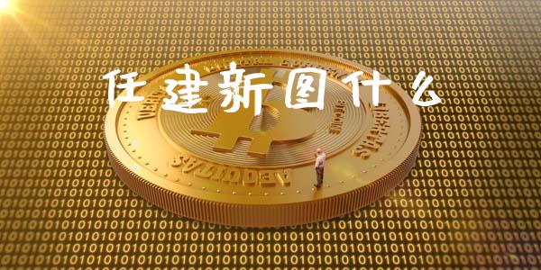 任建新图什么_https://wap.gongyisiwang.com_金融科技_第1张