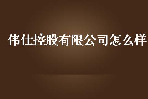 伟仕控股有限公司怎么样_https://wap.gongyisiwang.com_保险理财_第1张